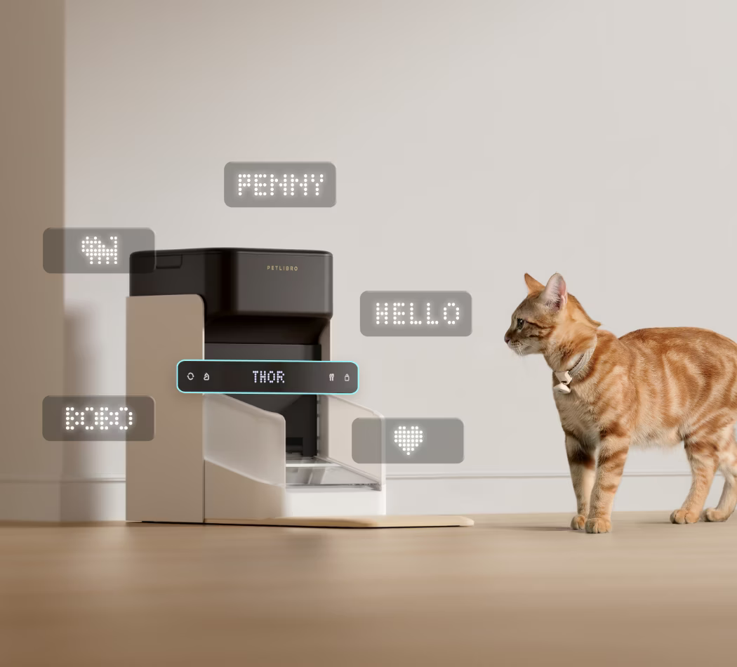 ™Pawtomatic | מתקן אוכל אוטומטי לחיות מחמד – סוללה נטענת ועמידה במיוחד, שליטה מרחוק